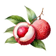 watercolor Fresh lychee fruit with leaves transparent background