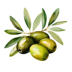 fresh green olives with leaves transparent background, perfect for culinary and Mediterranean themes.