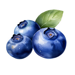 Illustration of three vibrant blueberries with green leaves, showcasing detailed textures and rich colors. Ideal for food and nature themes.
