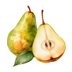 watercolor illustration of whole pear and half pear transparent background