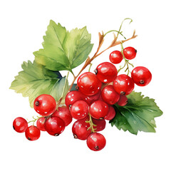 Watercolor illustration of vibrant red currants with green leaves, perfect for culinary, horticultural, or artistic purposes.
