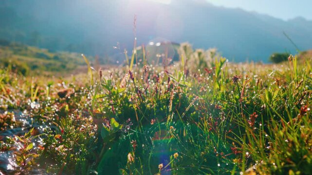 Beautiful landscape in the mountains. spring. a mountain river flows through a field against the backdrop of mountains.