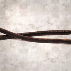 textured stylish old paper background, square, with long dark seedpods of Senna spectabilis, golden...