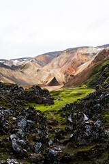 Icelandic Lava Fields