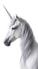 PNG Animal mammal horse illustrated.