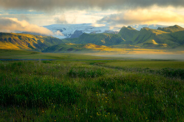 Beautiful view of a meadow in southern Iceland with a glacier in the background, on a summer morning