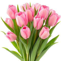 Fototapeta premium Elegant Bouquet of Pink Tulips with Green Leaves Isolated on Transparent Background.