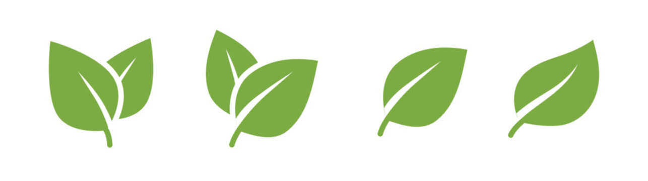 Leaves vector icon set, leaf herb green simple graphic pictogram illustration isolated cut out image, small branch shape silhouette as eco or organic element symbol clip art label
