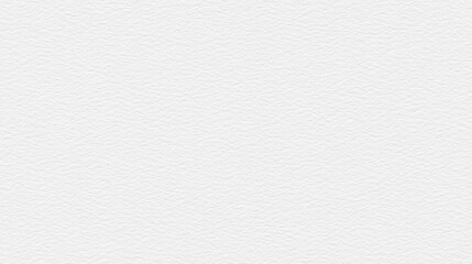 White textured background with a rough, grainy, and uneven surface.