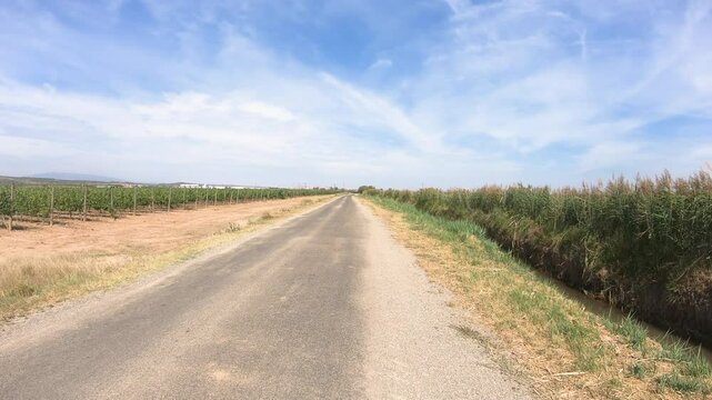 Camino del Ebro - a paved road through agricultural fields next to Calahorra, province of La Rioja, Spain