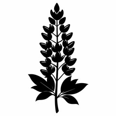 Lupine flower Black silhouette
