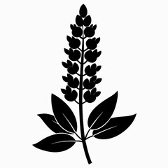 Lupine flower Black silhouette