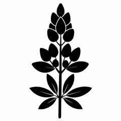 Lupine flower Black silhouette