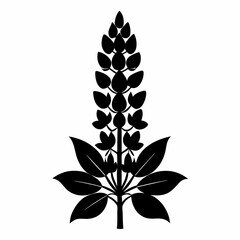 Lupine flower Black silhouette