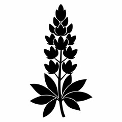 Lupine flower Black silhouette