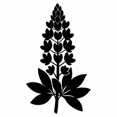 Lupine flower Black silhouette