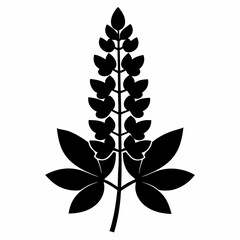 Lupine flower Black silhouette