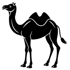 Camel silhouette vector illustration black animal on white background