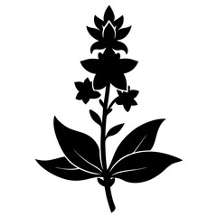 Loosestrife Black silhouette