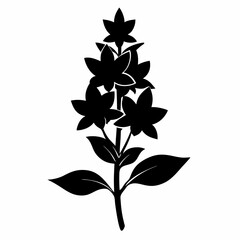 Loosestrife Black silhouette