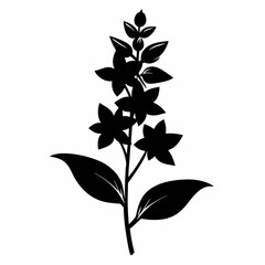 Loosestrife Black silhouette