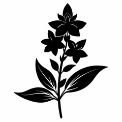 Loosestrife Black silhouette