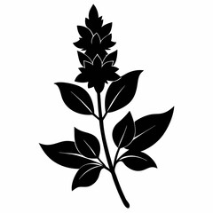 Loosestrife Black silhouette