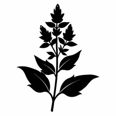 Loosestrife Black silhouette