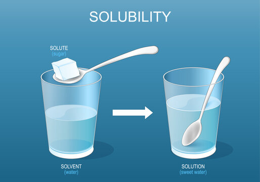 Solute