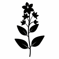 Lobelia Black silhouette