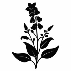 Lobelia Black silhouette