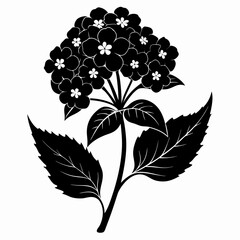 Lantana Black silhouette