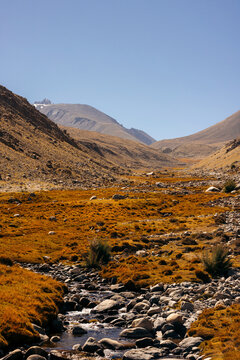 Tranquil stream trickling along rock and vegetation in the sunlit Nubra Valley under a blue sky; Nubra Valley, Leh district, Ladakh, India