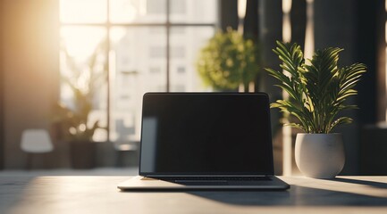 Fototapeta premium Modern Laptop on Wooden Desk with Sunlight and Plant