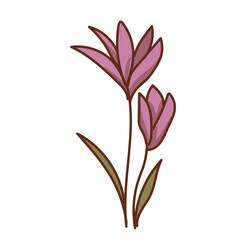 Obraz premium autumn crocus