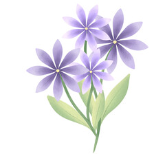 Cute Flower hand draw In Flat Design spring beautiful flowers set of flower illustration