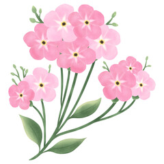 Fototapeta premium Cute Flower hand draw In Flat Design spring beautiful flowers set of flower illustration