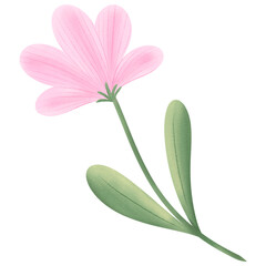 Cute Flower hand draw In Flat Design spring beautiful flowers set of flower illustration