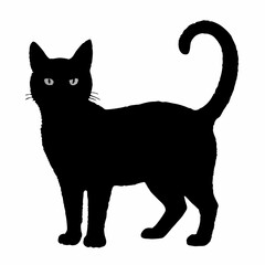 Cat Silhouette | Cat SVG Cat Cut Files | Cat Svg | Kitten Svg | Cat Vector CATS Bundle SVG, Cut Files for Cricut, Cats Clipart, Kitten Svg