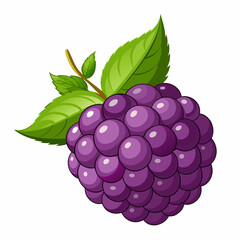 A Single Cartoon Blackberry with Green Leaves