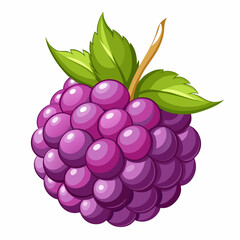 A Single Ripe Blackberry with Green Leaves