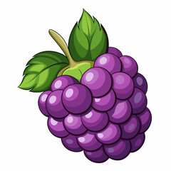 Cartoon illustration of a blackberry with green leaves
