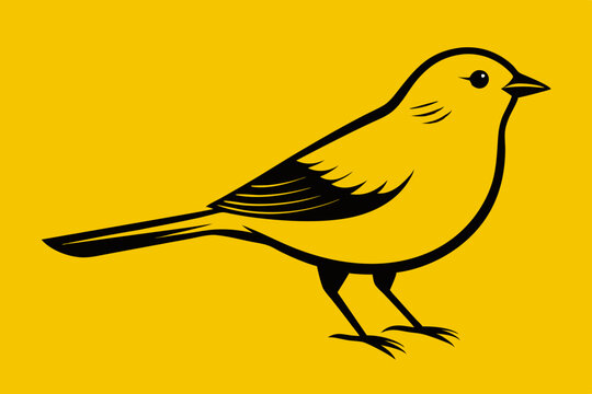 recommend clip art:  Engraving style slim canary bird vector art illustration