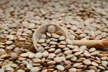 Green Lentils in a wooden spoon close-up on a wooden background. Vegetarian food.