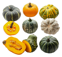 PNG Colorful pumpkins on display