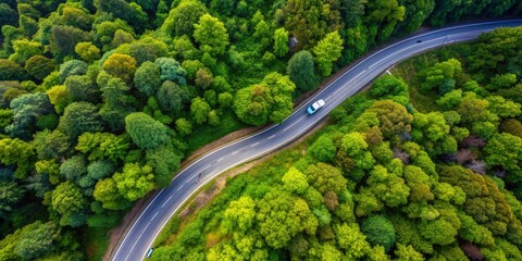 Aerial Perspective of a Winding Road Through a Lush Green Forest with a Single Car Driving