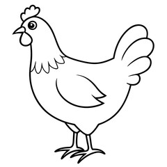 Obraz premium Chicken vector illustration. 