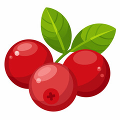 Obraz premium Red Cranberries with Green Leaves
