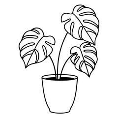 Monstera Plant Line Art Vector Silhouette Illustration