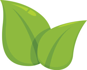 Two overlapping green leaves evoking freshness and natural concepts